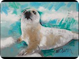 SidMaurer_20110518_babyseal