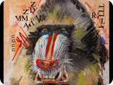 SidMaurer_20110518_Mandrill