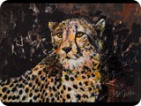 SidMaurer_20140305_Cheetah04